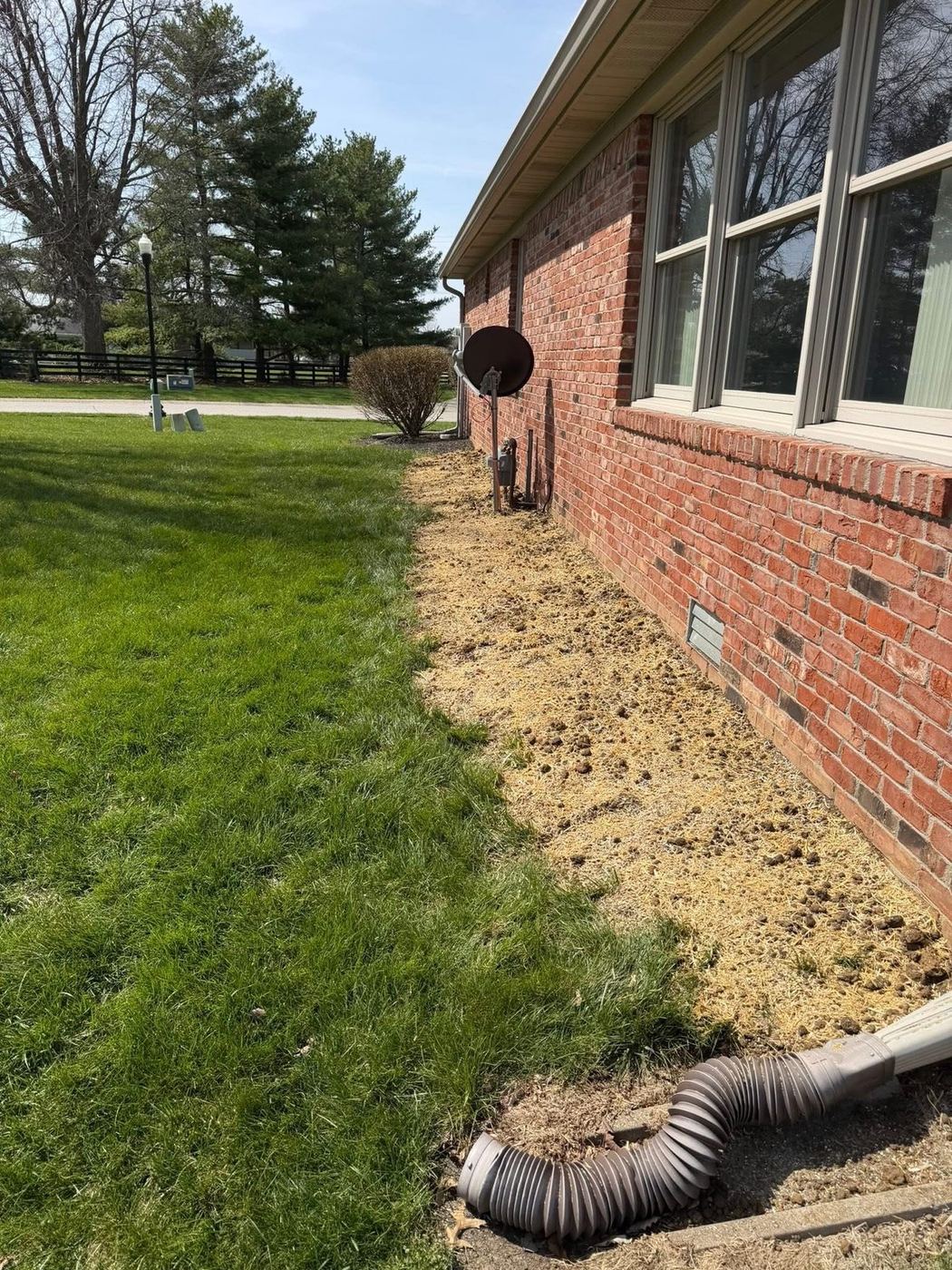 Corrugated downspout drainage line trenched in along a brick foundation and backfilled