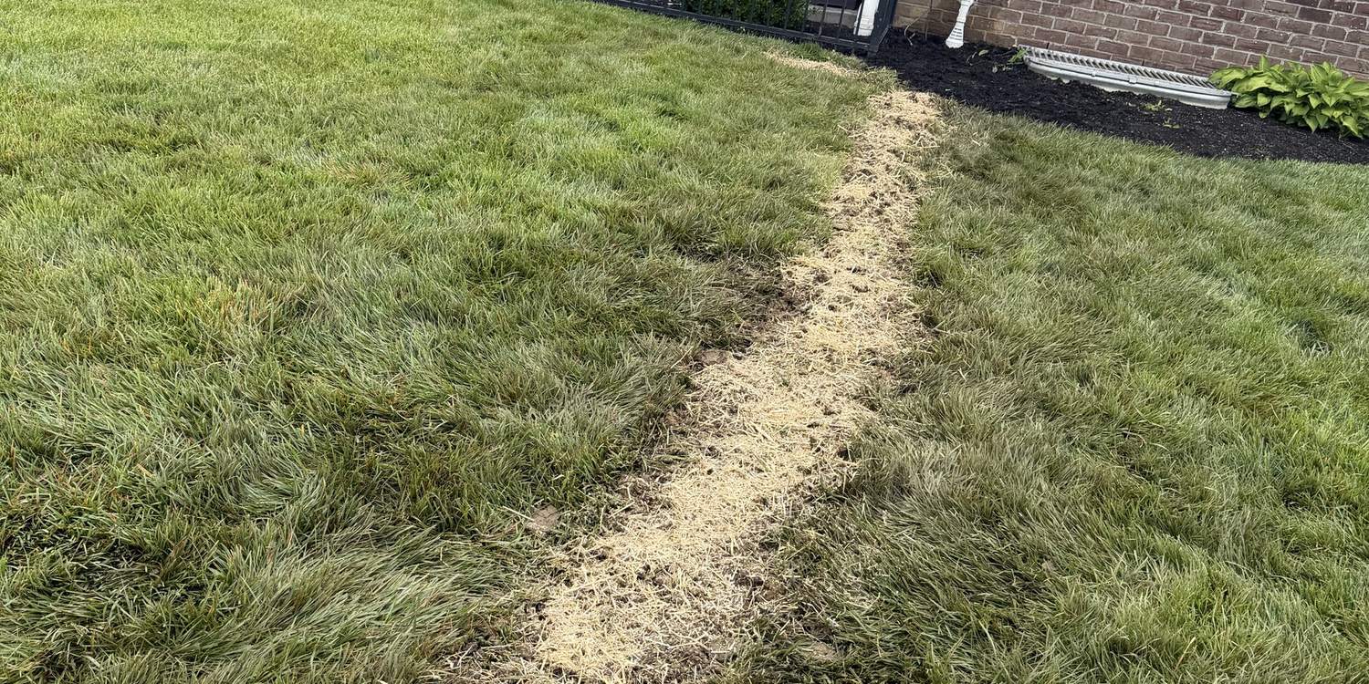 Restored lawn showing the healed line of a completed drainage run